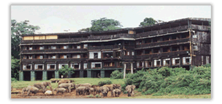 African-House